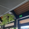 D-Sign SPA-1 C Cinema dim - Afbeelding 4