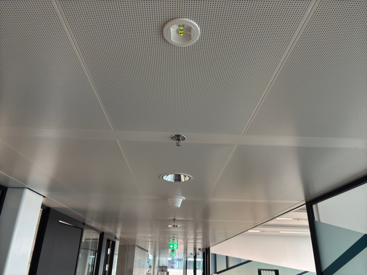 InHolland_Famostar_9